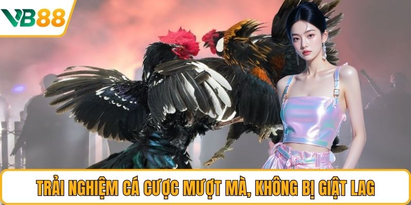 Trải nghiệm cá cược mượt mà, không bị giật lag Trải nghiệm cá cược mượt mà, không bị giật lag